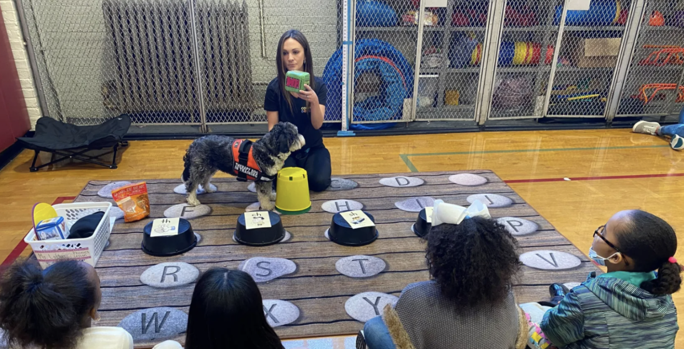 How to help struggling students? NYC’s Comfort Dog Program might unleash some answers How to help struggling students? NYC’s Comfort Dog Program might unleash some answers