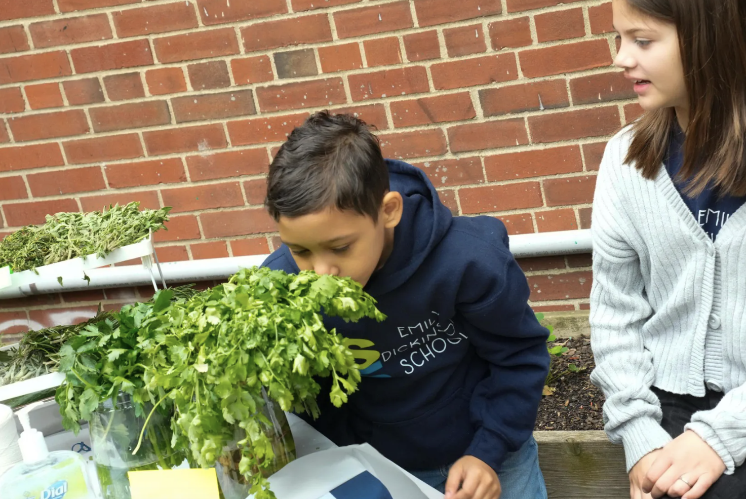More food education and plant-based foods: Here is NYC’s vision for healthier students More food education and plant-based foods: Here is NYC’s vision for healthier students