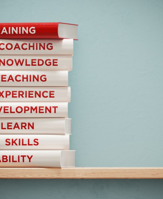 Built for New York Metropolitan Area Leaders: The Russell Sage Ed.D. for the Downstate Region