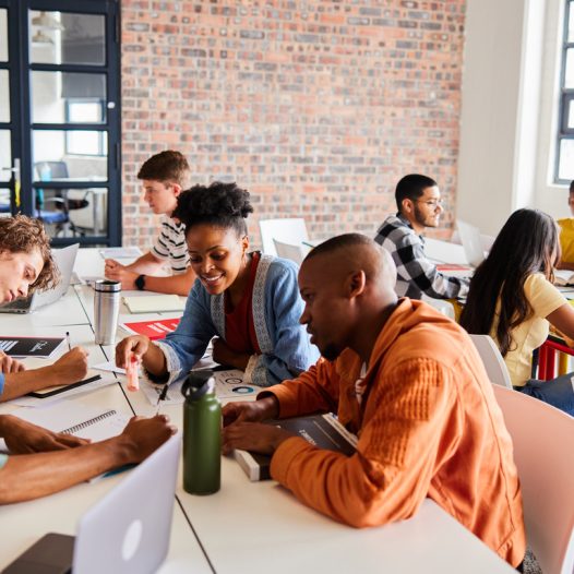 Designing Learning for Access, Choice, and Purpose: What Best Practice Looks Like Today