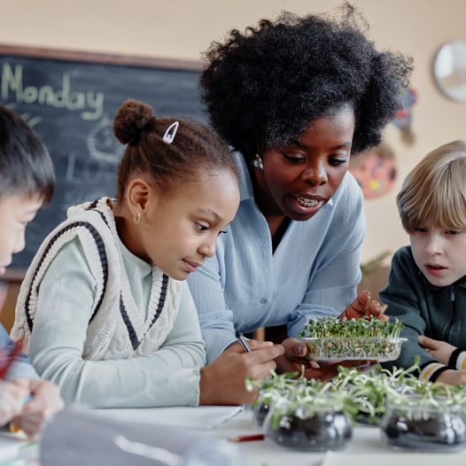 Expanding Your Impact: Why Now Is the Time to Earn a TESOL, Bilingual, Special Education, Early Childhood or Childhood Certification