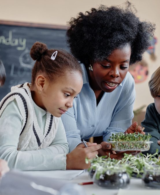 Expanding Your Impact: Why Now Is the Time to Earn a TESOL, Bilingual, Special Education, Early Childhood or Childhood Certification